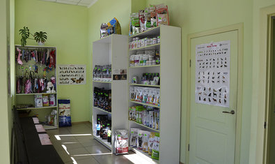 Ветеринарная клиника «911»