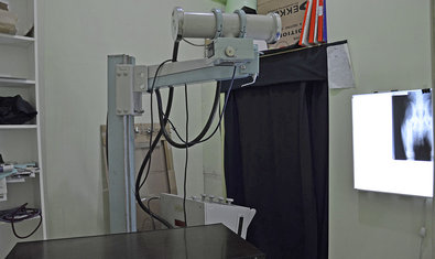 Ветеринарная клиника «911»