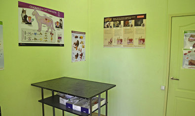 Ветеринарная клиника «911»