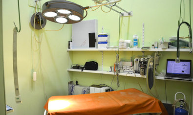 Ветеринарная клиника «911»