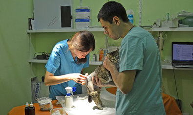 Ветеринарная клиника «911»