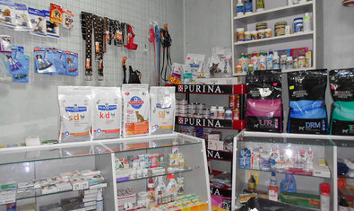 Ветеринарная клиника «Animals» Ветеринарная клиника «Animals»