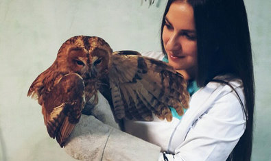 Ветеринарная клиника «Animals» Ветеринарная клиника «Animals»