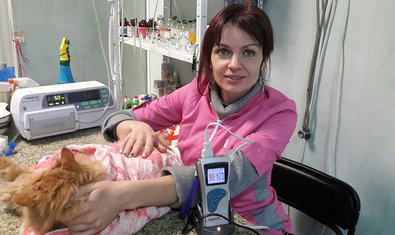 Ветеринарная клиника «Animals» Ветеринарная клиника «Animals»