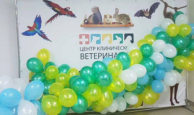Ветеринарная клиника «Центр Клинической Ветеринарии»