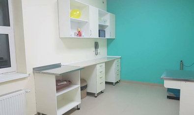 Ветеринарная клиника «Центр Клинической Ветеринарии»