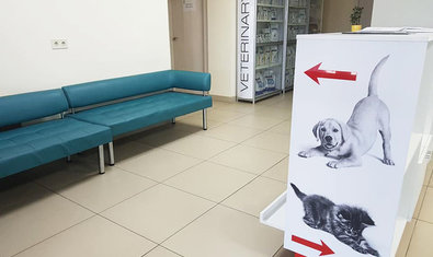 Ветеринарная клиника «Центр Клинической Ветеринарии»