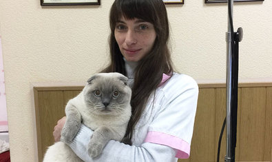 Ветеринарная клиника доктора Обуховского