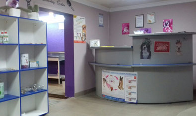 Ветеринарная клиника «Гав Мур»