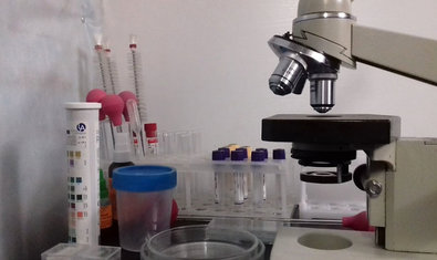 Ветеринарная клиника «Гав Мур»