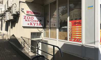 Вход в ветклинику «Кузя» Вход в ветклинику «Кузя»