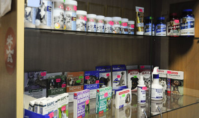 Ветеринарная клиника «Мадагаскар»