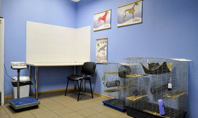 Ветеринарная клиника «Мадагаскар»