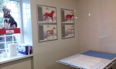 Ветеринарная клиника «Mashtalir veterinarius» Ветеринарная клиника «Mashtalir veterinarius»