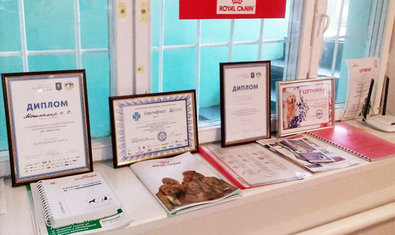 Ветеринарная клиника «Mashtalir veterinarius» Ветеринарная клиника «Mashtalir veterinarius»