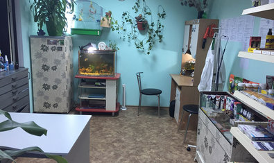 Ветеринарная клиника «Меньший брат» Ветеринарная клиника «Меньший брат»