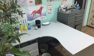 Ветеринарная клиника «Меньший брат» Ветеринарная клиника «Меньший брат»