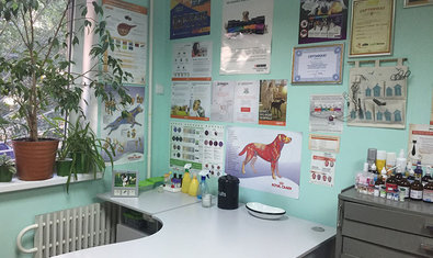 Ветеринарная клиника «Меньший брат» Ветеринарная клиника «Меньший брат»