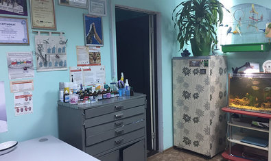 Ветеринарная клиника «Меньший брат» Ветеринарная клиника «Меньший брат»