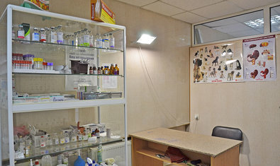 Ветеринарная клиника «Мурзик» Ветеринарная клиника «Мурзик»