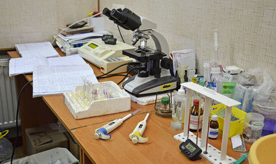 Ветеринарная клиника «Мурзик» Ветеринарная клиника «Мурзик»