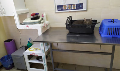 Ветеринарная клиника «MyPet» Ветеринарная клиника «MyPet»