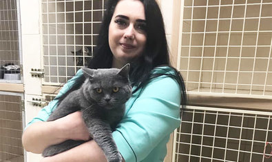 Ветеринарная клиника «MyPet» Ветеринарная клиника «MyPet»