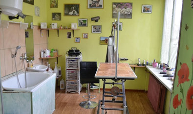 Ветеринарная клиника «Pussy Cat»