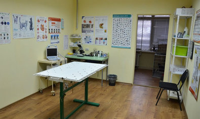 Ветеринарная клиника «Pussy Cat»