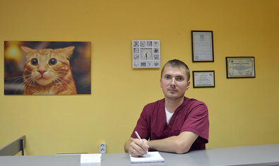 Ветеринарная клиника «Рыжий кот» Ветеринарная клиника «Рыжий кот»