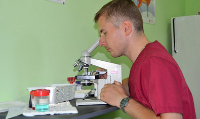 Ветеринарная клиника «Рыжий кот» Ветеринарная клиника «Рыжий кот»