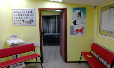 Ветеринарная клиника «SannaVet»