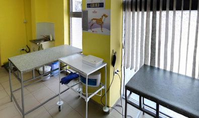 Ветеринарная клиника «SannaVet»