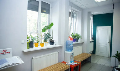 Ветеринарная клиника «SOS»