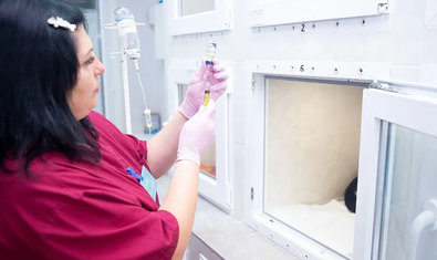 Ветеринарная клиника «SOS»