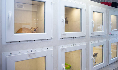 Ветеринарная клиника «SOS»