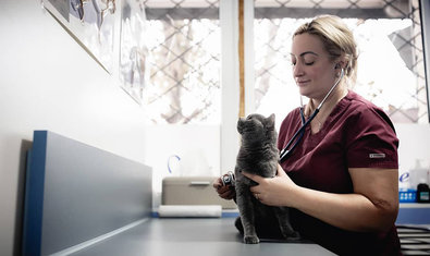 Ветеринарная клиника «Status Vet»