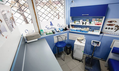 Ветеринарная клиника «Status Vet»