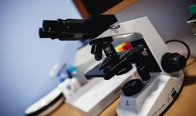 Ветеринарная клиника «Status Vet»