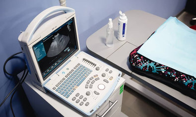 Ветеринарная клиника «Status Vet»