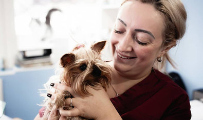 Ветеринарная клиника «Status Vet»