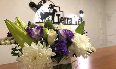 Ветеринарная клиника «Терра Вет Центр» Ветеринарная клиника «Терра Вет Центр»