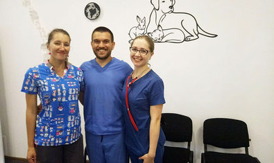 Ветеринарная клиника «Терра Вет Центр» Ветеринарная клиника «Терра Вет Центр»