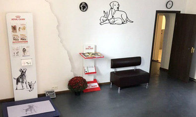 Ветеринарная клиника «Терра Вет Центр» Ветеринарная клиника «Терра Вет Центр»