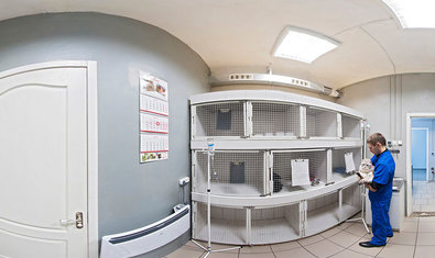 Ветеринарная клиника «ВетЭксперт» Ветеринарная клиника «ВетЭксперт»