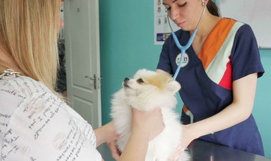 Ветеринарная клиника «ВетЭксперт» Ветеринарная клиника «ВетЭксперт»