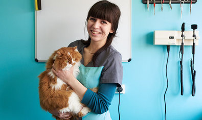 Ветеринарная клиника «ВетЭксперт» Ветеринарная клиника «ВетЭксперт»