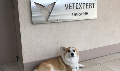 Ветеринарная клиника «ВетЭксперт»