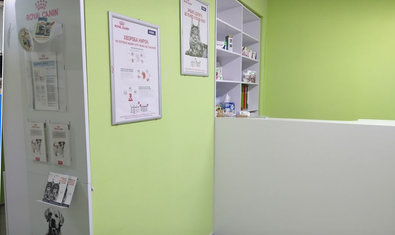 ArsVet, ветеринарная клиника