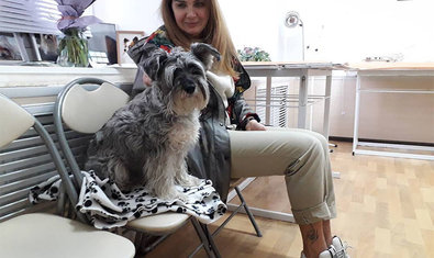 Ветеринарная клиника «Vivo+» Ветеринарная клиника «Vivo+»